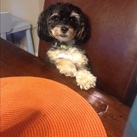 Meet your Posher, Deanna - Picture 1 of 1